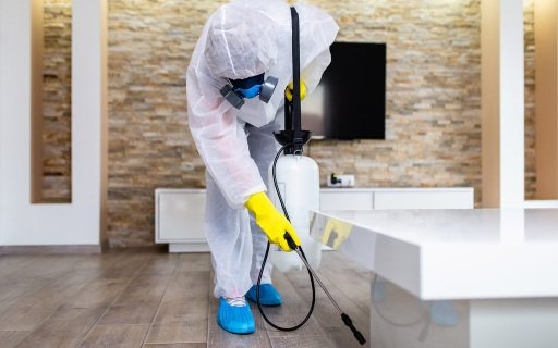 Effective DIY Pest Control Methods: How to Keep Unwanted Guests at Bay