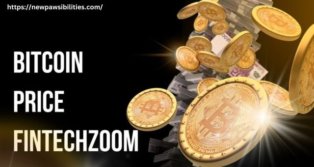 Bitcoin Price Fintechzoom