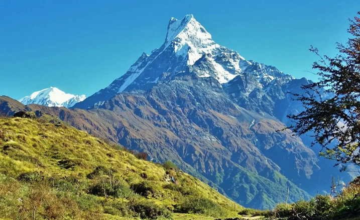 Poon Hill Trek Vs Mardi Himal Trek