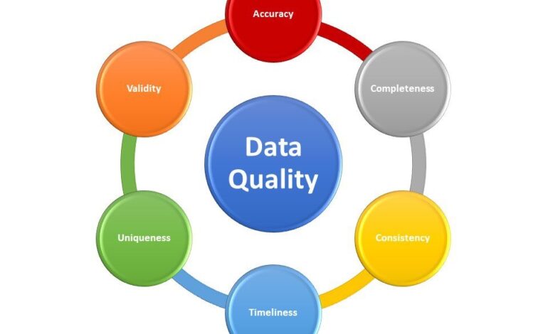 The Importance of Data Quality in Data Management Solutions