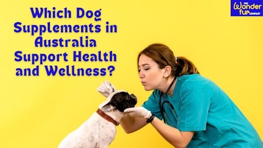 Which Dog Supplements in Australia Support Health and Wellness?