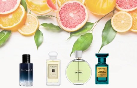 Top 4 Best Citrus Perfumes 2025 to Energize Your Scent