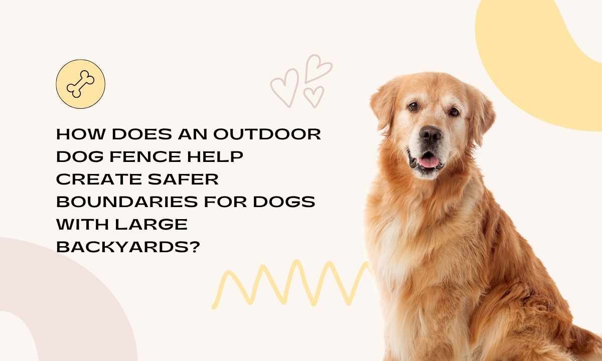 Outdoor Dog Fence