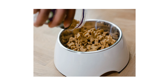 6 Recipes To Make Your Own Dog Food At Home