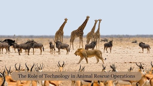 The Role of Technology in Animal Rescue Operations