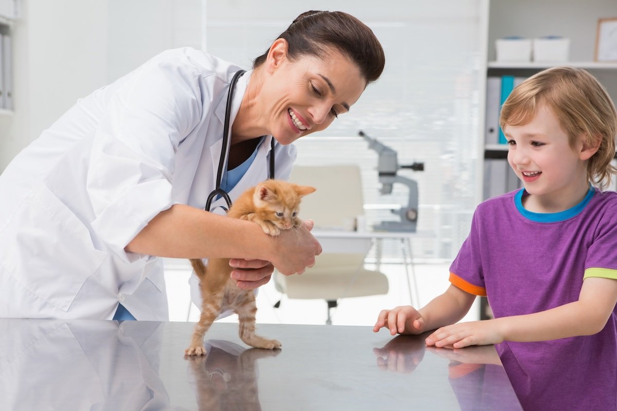 How To Find The Best Veterinarian Care Near You