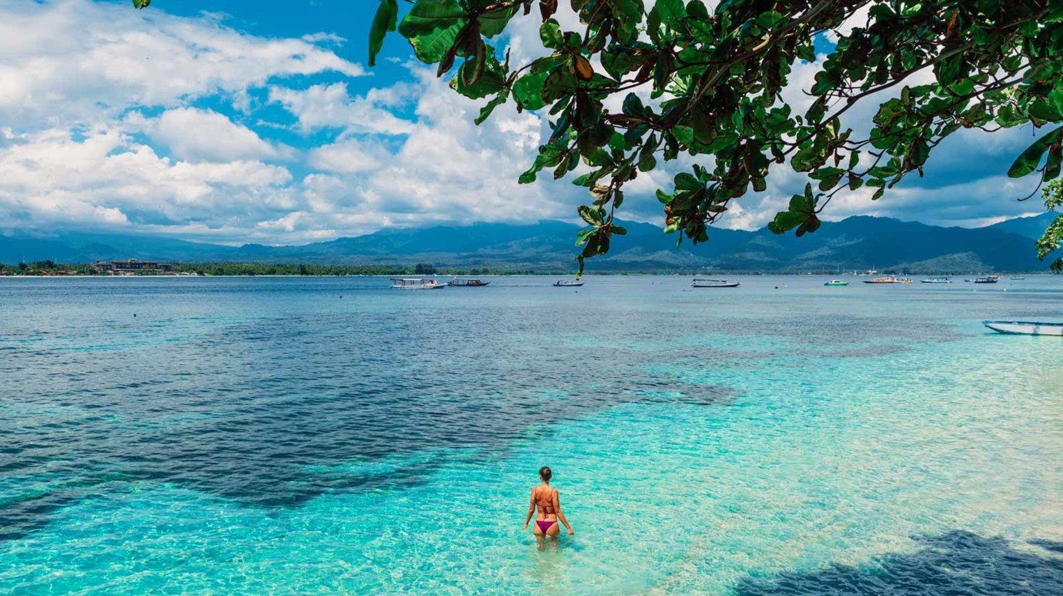 Unraveling the Mystery: Why Are There No Dogs on Gili Islands?