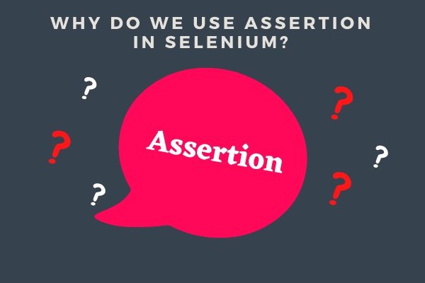 Using Assertions in Selenium