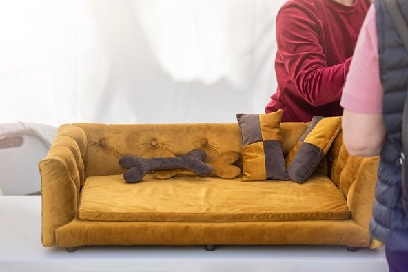 Your Sofa in Need of Repair