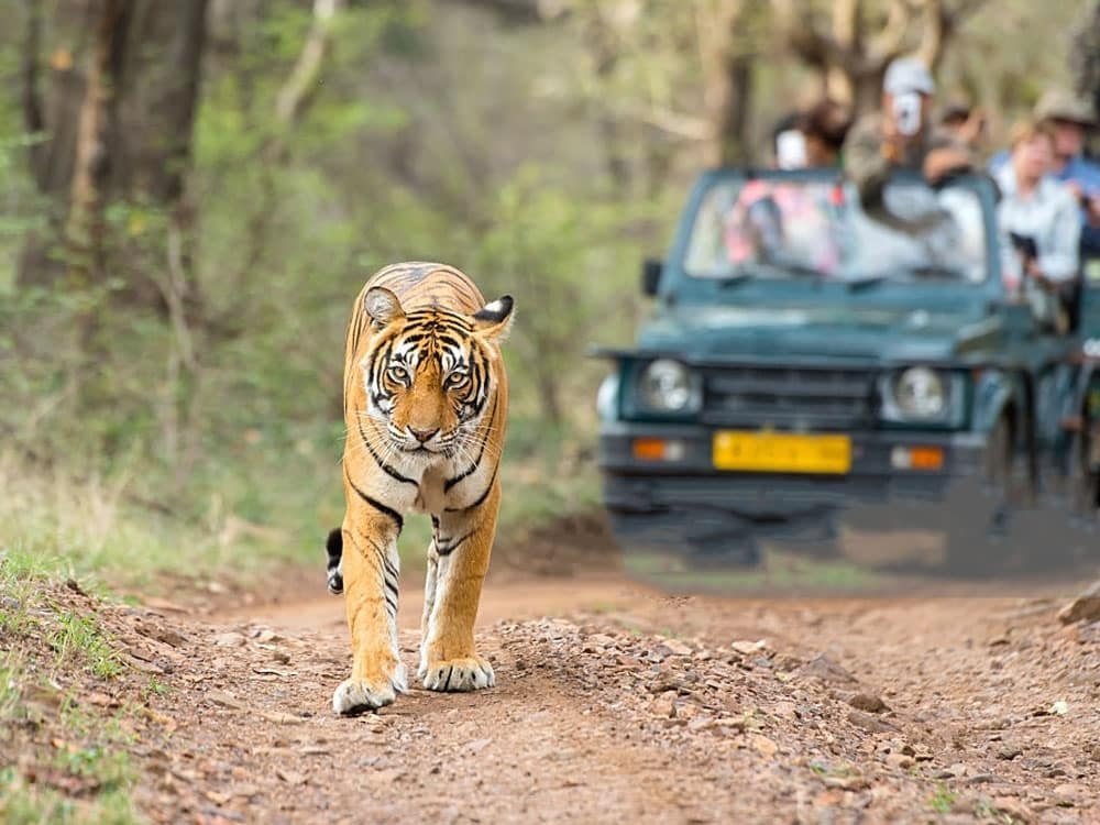 What are the best places that you need to explore near Jim Corbett National Park?