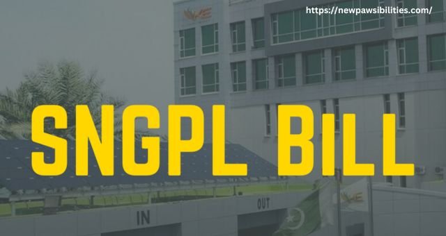 SNGPL Duplicate Bill