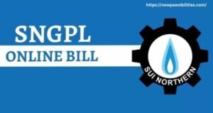 SNGPL Duplicate Bill