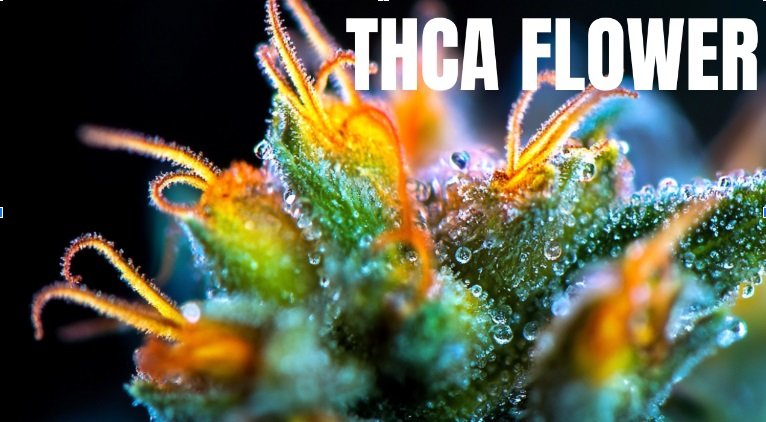 THCa Flower