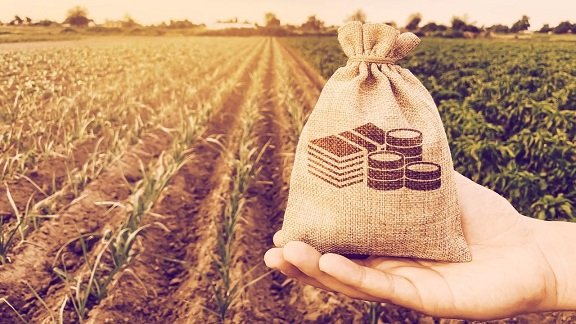 DeFi Yield Farming Pools: A New Era of Financial Freedom