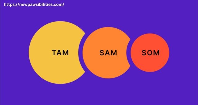 Tam Sam Som : Defining Market Sizes