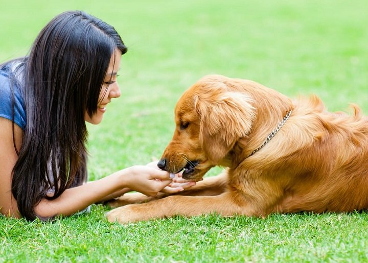 How Pet Ownership Improves Mental Health and Performance: A Guide for Sports Fans